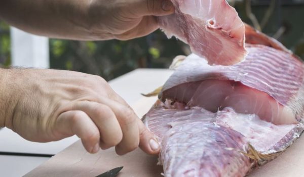 La maturazione del pesce
